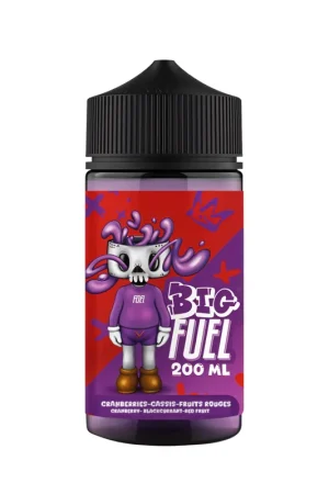 Cranberries Cassis Fruits Rouges 200 ml - Big Fuel Livraison Express