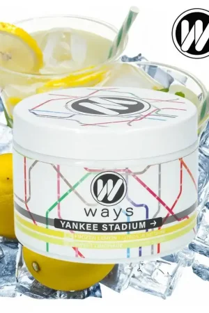 Nouvelle Collection WAYS YANKEE STADIUM 200 GR