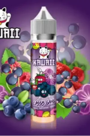 E-liquide Cassis Gang 50ml Kawaii Promotion Saisonnière