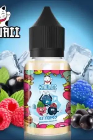 Arôme concentré Ice Friends - Kawaii Remise