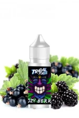 Marque Arôme concentré Cozy Berrie - Tribal Force