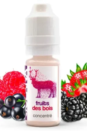 Concentré Fruits des bois - Solana Dernier Modèle