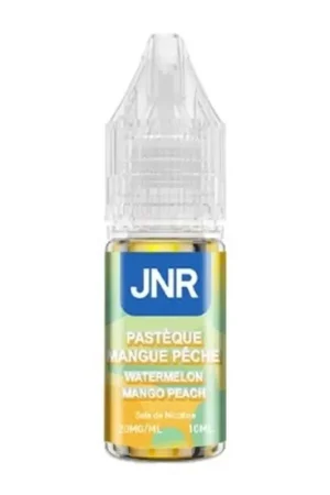 Commander Maintenant Watermelon Mango Peach Nic Salt 10 ml - JNR
