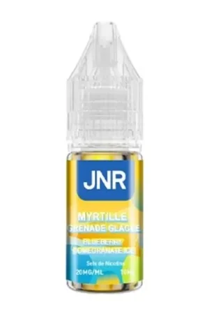 Blueberry Pomegranate Ice Nic Salt 10 ml - JNR Paiement Sécurisé