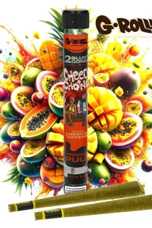 Certifié BLUNT PREROULE G ROLLZ CHEECH AND CHONG TERPENES TROPICAL PULP PAR 2