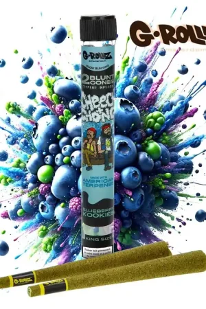BLUNT PREROULE G ROLLZ CHEECH AND CHONG TERPENES BLUEBERRY KOOKIES PAR 2 Soldes
