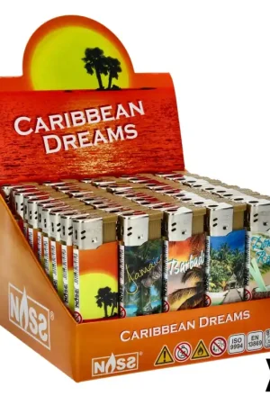 Offre Exclusive BRIQUET ELECTRONIQUE NASS CARRIBEAN DREAMS X50