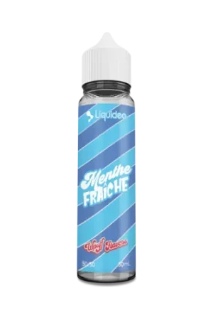 Affaire À Saisir E Liquide MENTHE FRAICHE  50 ml - Wpuff Flavors
