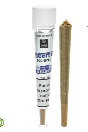 Achetez Aujourd’hui CONE PREROULE CBD MARIE JEANNE GELATO