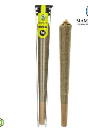Offre Exclusive CONE PREROULE CBD MAMA KANA CRITICAL