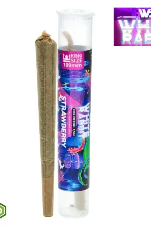 Commander Maintenant CONE PREROULE CBD WHITE RABBIT STRAWBERRY