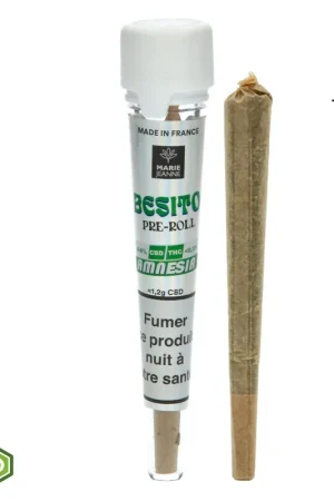 Jusqu’à Épuisement Des Stocks CONE PREROULE CBD MARIE JEANNE AMNESIA