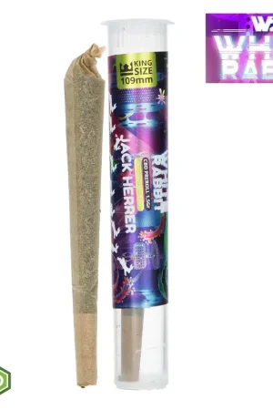 Livraison Gratuite CONE PREROULE CBD WHITE RABBIT JACK HERRER
