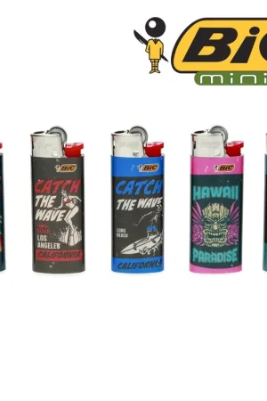 Marque BRIQUET BIC MINI BORN TO SURF X5