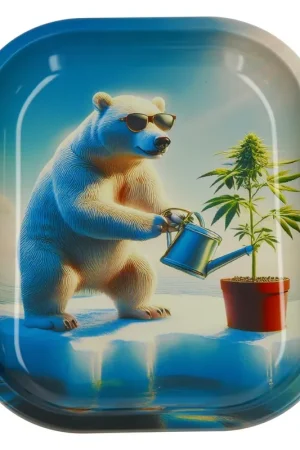 Affaire À Saisir PLATEAU ARCTIC GROWER