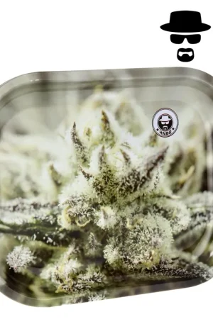 Super Prix PLATEAU HNBG GANJA