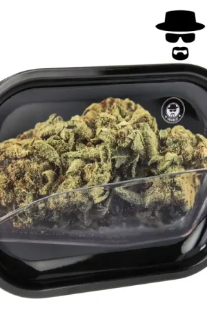 PLATEAU HNBG BUD Marque