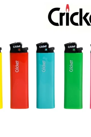 BRIQUET CRICKET ESSENTIAL X5 Réduction