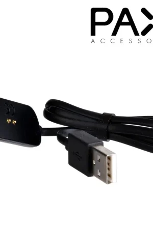 MINI CHARGEUR POUR PAX MINI ET PAX PLUS Meilleure Vente