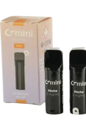 Achetez Aujourd’hui Cartouche pré remplie G MINI Pêche - Cigusto