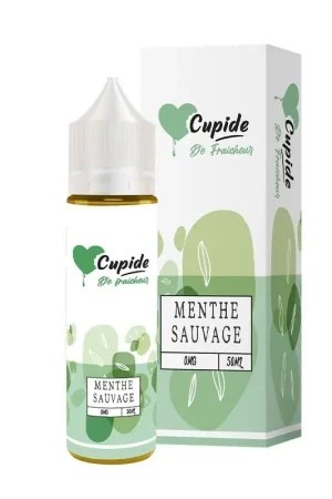 Menthe Sauvage 50 ml - Cupide Must-Have