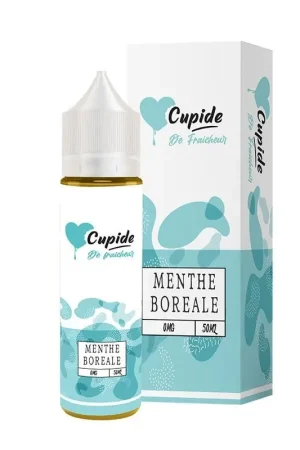 Acheter En Ligne Menthe Boréale 50 ml - Cupide