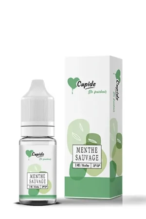 Livraison Express Menthe Sauvage 10 ml - Cupide