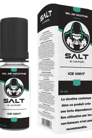 Retour Gratuit Ice Mint sel de nicotine 10 ml - Salt E-Vapor